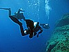 IMG_4411.JPG