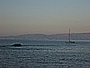 IMG_4415.JPG