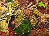 IMG_4427.JPG