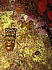 IMG_4437.JPG