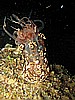IMG_4440.JPG