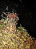 IMG_4441.JPG