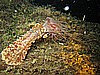 IMG_4443.JPG
