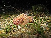 IMG_4454.JPG