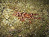 IMG_4457.JPG