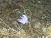 IMG_4459.JPG