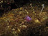 IMG_4463.JPG