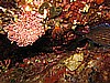 IMG_4466.JPG