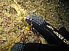 IMG_4470.JPG