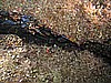 IMG_4473.JPG