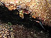 IMG_4474.JPG