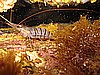 IMG_4477.JPG