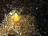 IMG_4480.JPG