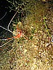 IMG_4483.JPG