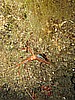 IMG_4484.JPG