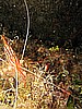 IMG_4488.JPG