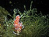 IMG_4494.JPG