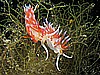 IMG_4495.JPG
