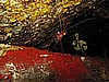 IMG_4496.JPG
