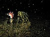IMG_4507.JPG
