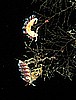 IMG_4508.JPG