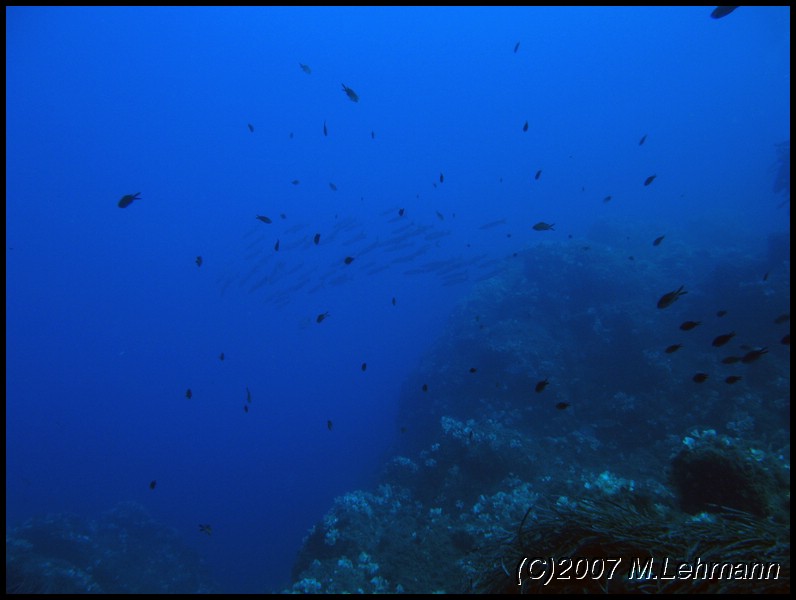 IMG_4569.JPG