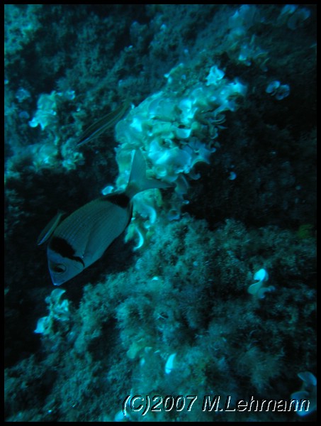 IMG_4593.JPG