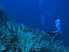 IMG_4516.JPG
