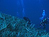 IMG_4517.JPG