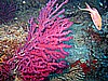 IMG_4520.JPG