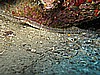 IMG_4525.JPG