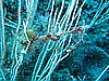IMG_4526.JPG