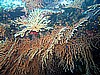 IMG_4529.JPG