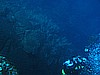 IMG_4530.JPG