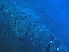 IMG_4531.JPG
