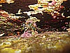 IMG_4544.JPG