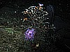 IMG_4548.JPG