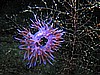 IMG_4551.JPG
