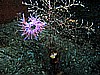 IMG_4553.JPG