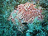 IMG_4555.JPG