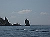 IMG_4566.JPG