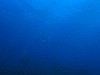 IMG_4567.JPG