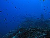 IMG_4568.JPG