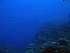 IMG_4569.JPG
