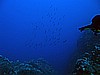 IMG_4570.JPG