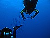 IMG_4571.JPG
