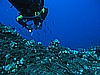 IMG_4572.JPG
