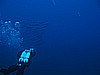 IMG_4573.JPG