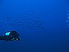 IMG_4574.JPG
