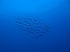 IMG_4576.JPG
